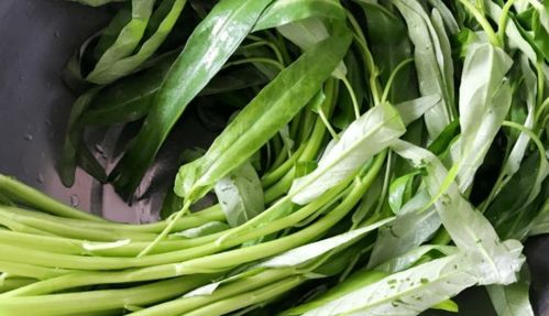 含 寄生蟲 最多的2種蔬菜,沒營(yíng)養(yǎng)還貴,菜販子很少給家人吃