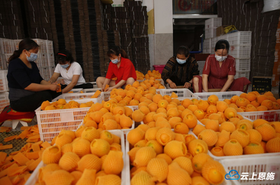 扶貧&ldquo;832&rdquo;平臺(tái)為巴東農(nóng)副產(chǎn)品打開銷路