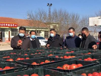 海陽市政府 海陽要聞 【雷鄉(xiāng)戰(zhàn)&ldquo;疫&rdquo;】海陽市搭建農(nóng)超雙向?qū)訕蛄? class=