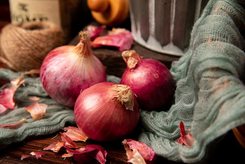 蔬菜洋蔥洋蔥頭紅蔥食材食品蔬菜攝影圖 果蔬圖片素材