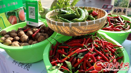 蘭州市西固區舉辦2024年中國農民豐收節慶?；顒? class=