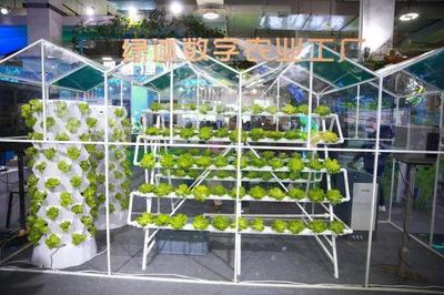 新主體、新技術(shù)、新產(chǎn)品 從今年農(nóng)博會(huì)看&ldquo;浙&rdquo;有新能力