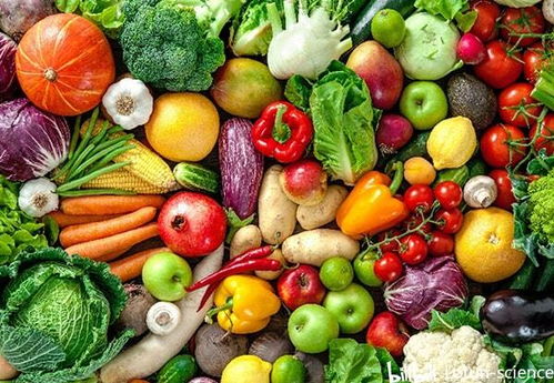 貯藏對蔬菜質(zhì)地的演變及其在農(nóng)副產(chǎn)品收購中的影響