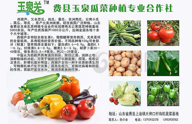 新鮮直達，品質承諾——綠色蔬菜產品宣傳與農副產品收購服務